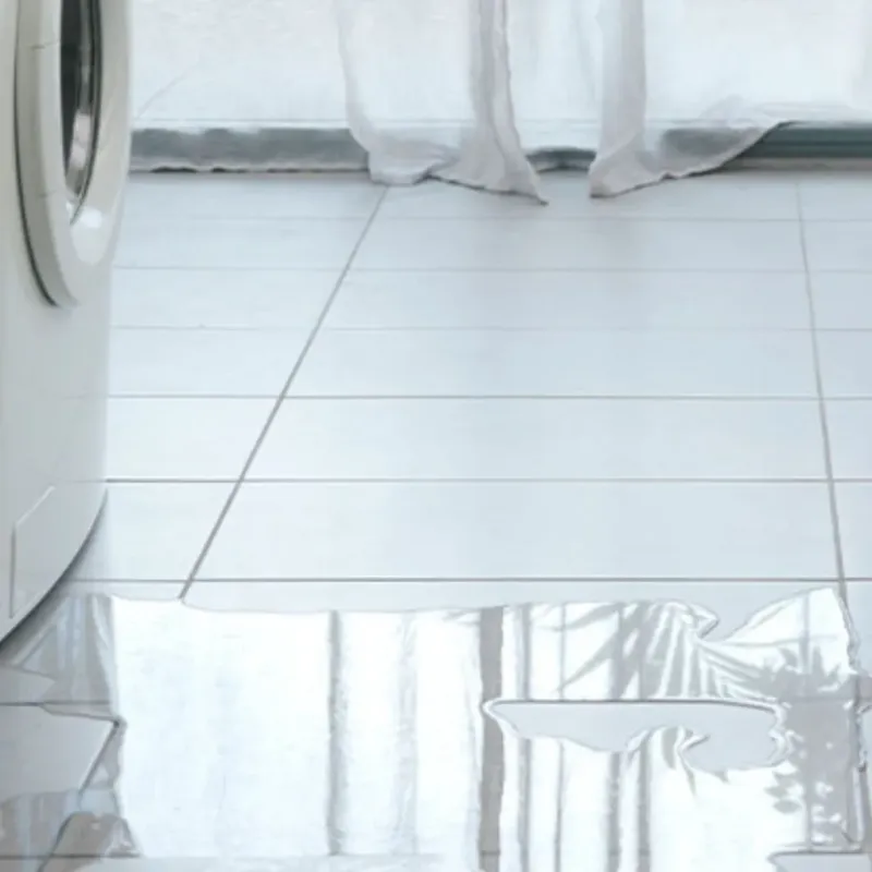 Appliance Leak Cleanup in Portland, OR