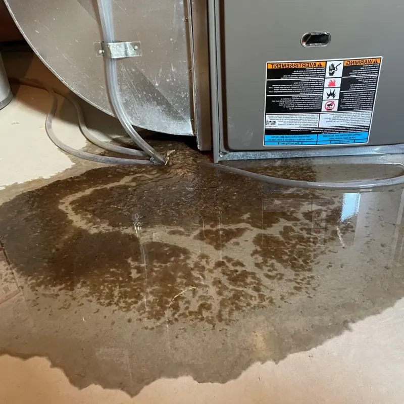 Pipe Burst and Leak Restoration in Portland, OR